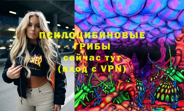 прущие крисы Алексеевка