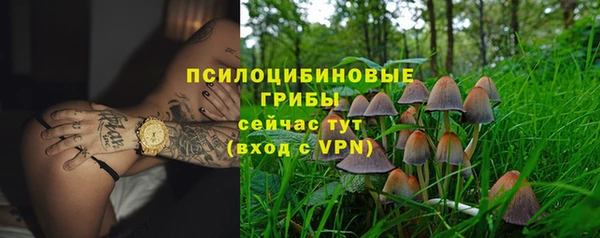 a pvp Алексин